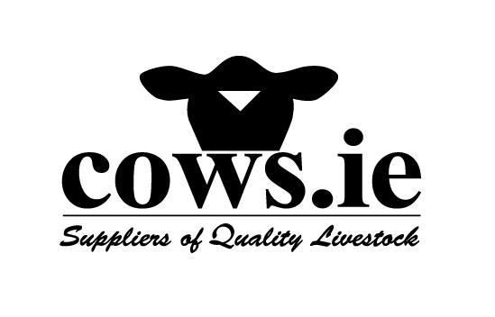 David  Clarke Cows.ie