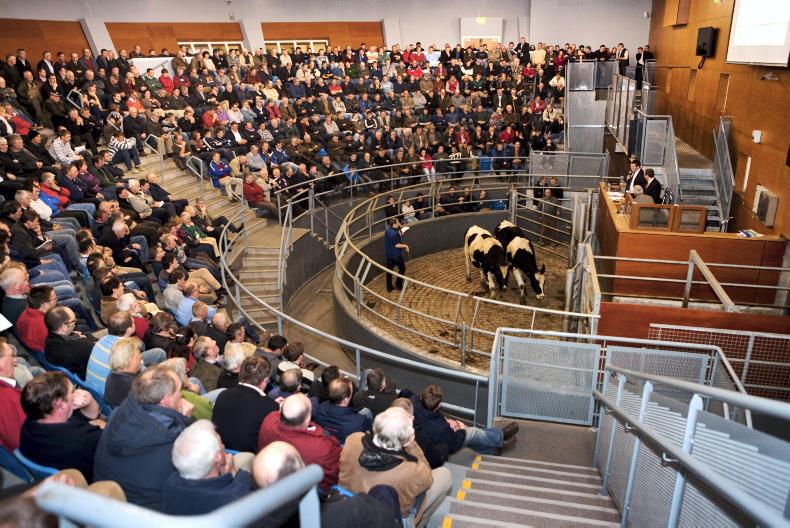 Cork Mart Farmers Market