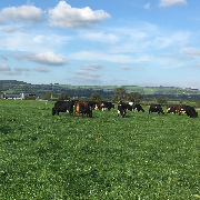 Cantwell's Court Farm