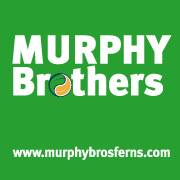Murphy Bros  Ferns Ltd