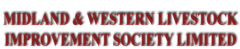 Midland &  Western Livestock