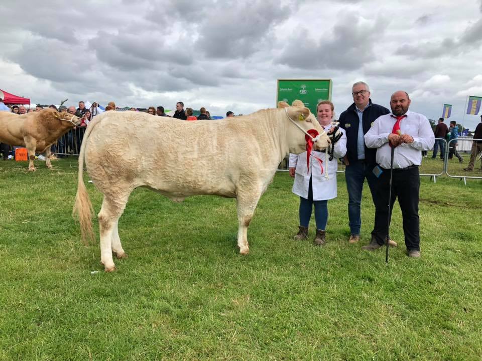 Irish Blonde  Cattle Society