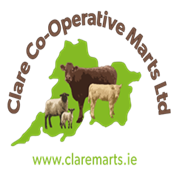 Clare Marts