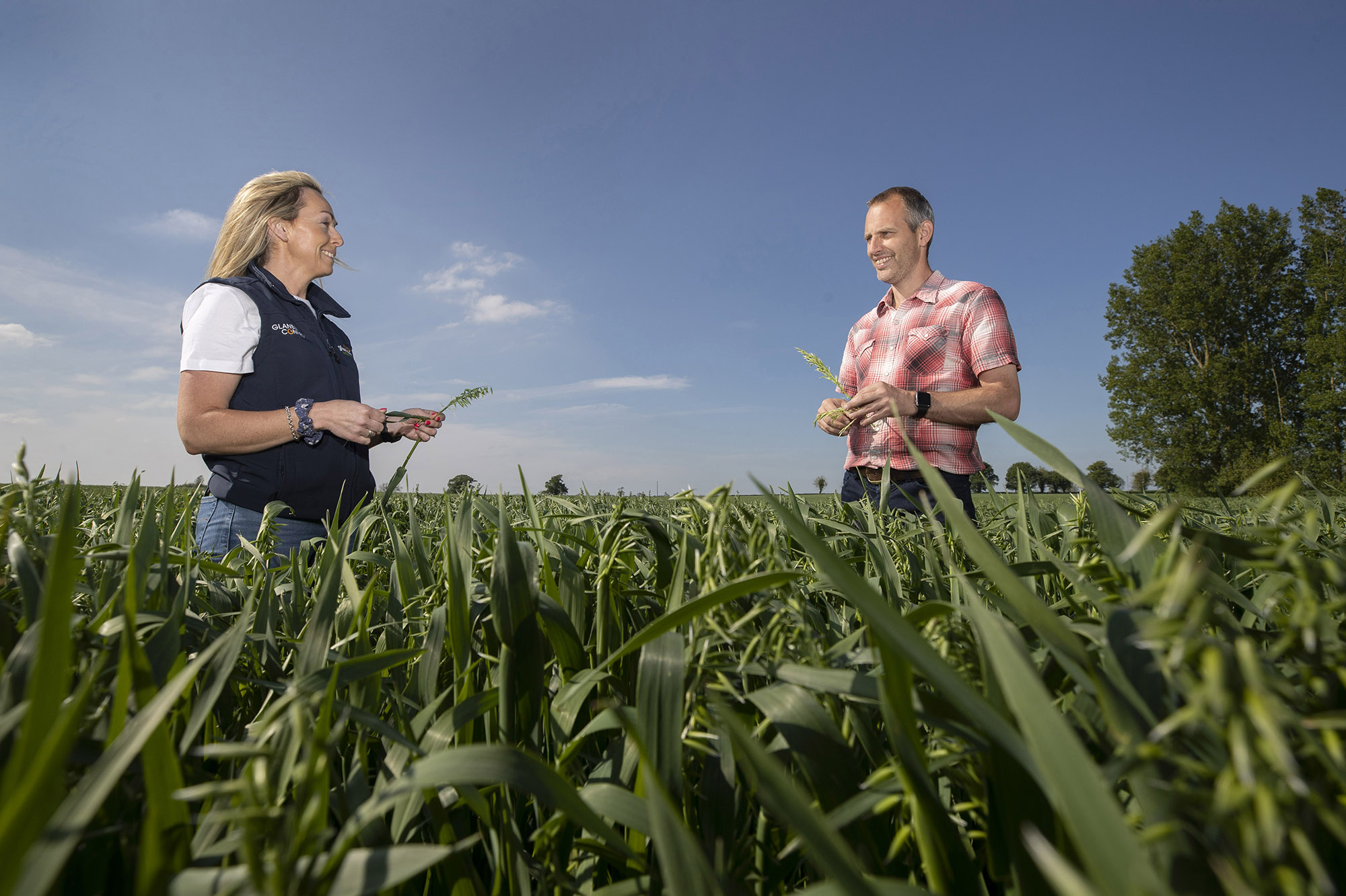 Industry opportunities