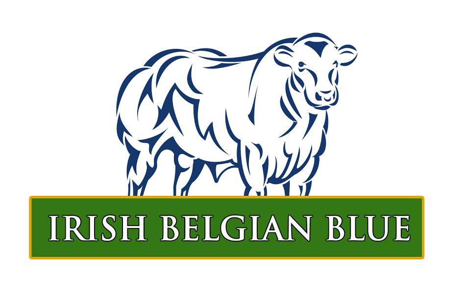 Belgian Blue  Cattle Society