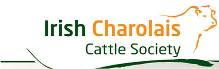 Irish Charolais  Cattle Society