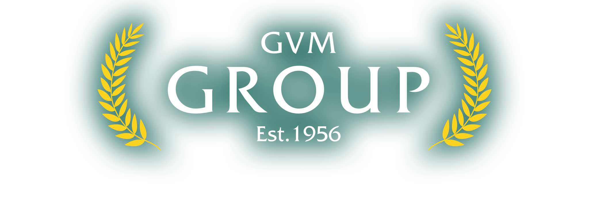 GVM  Group